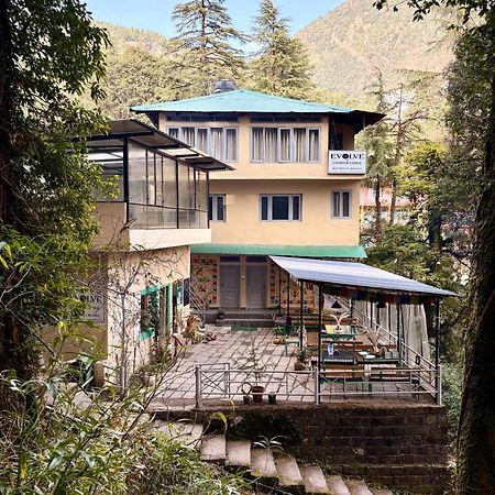 מקלוד גאנג' Eevolve Dharamkot - An Eco Hostel מראה חיצוני תמונה