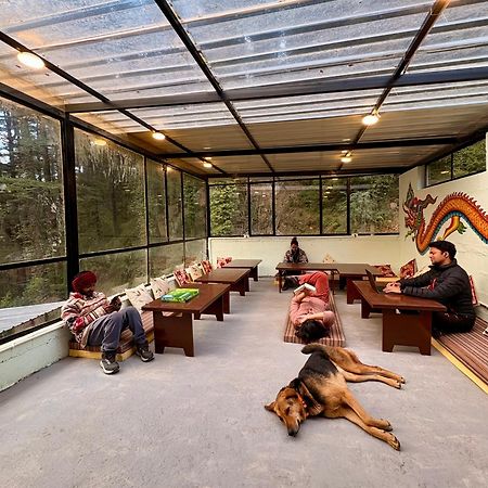 מקלוד גאנג' Eevolve Dharamkot - An Eco Hostel מראה חיצוני תמונה