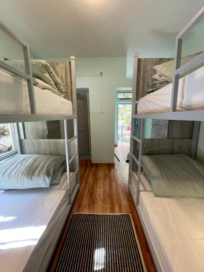 מקלוד גאנג' Eevolve Dharamkot - An Eco Hostel מראה חיצוני תמונה