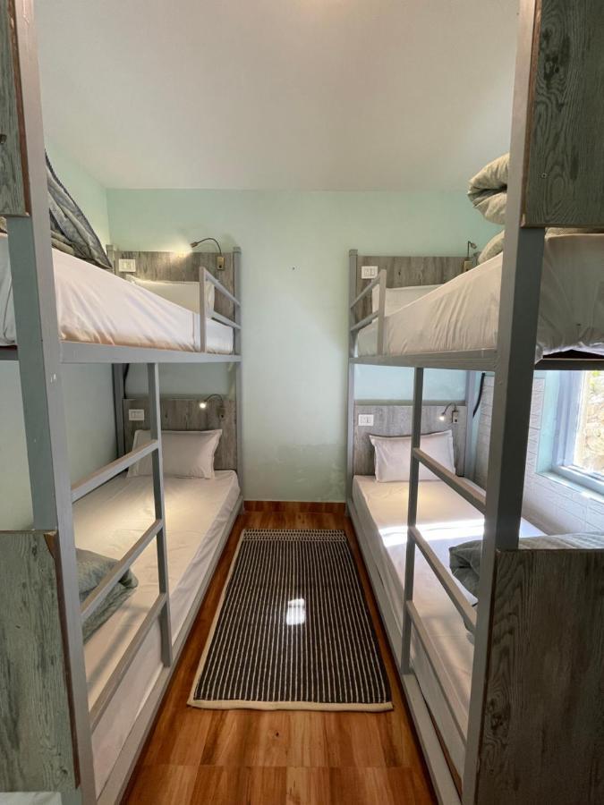 מקלוד גאנג' Eevolve Dharamkot - An Eco Hostel מראה חיצוני תמונה