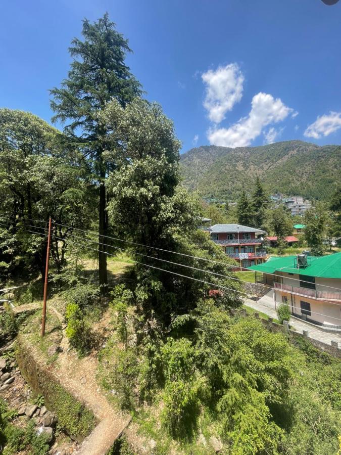 מקלוד גאנג' Eevolve Dharamkot - An Eco Hostel מראה חיצוני תמונה