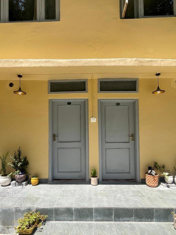 מקלוד גאנג' Eevolve Dharamkot - An Eco Hostel מראה חיצוני תמונה