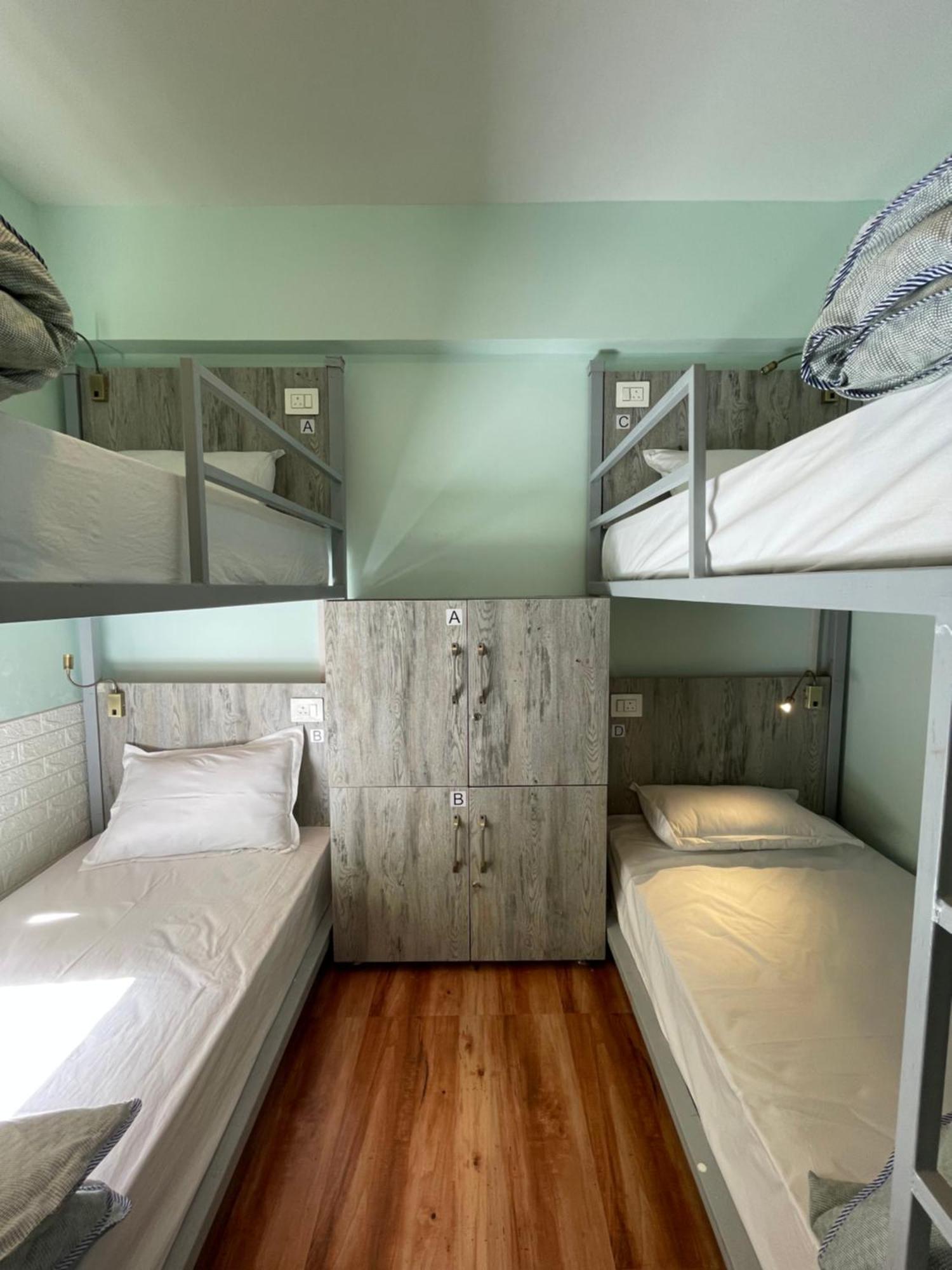 מקלוד גאנג' Eevolve Dharamkot - An Eco Hostel מראה חיצוני תמונה