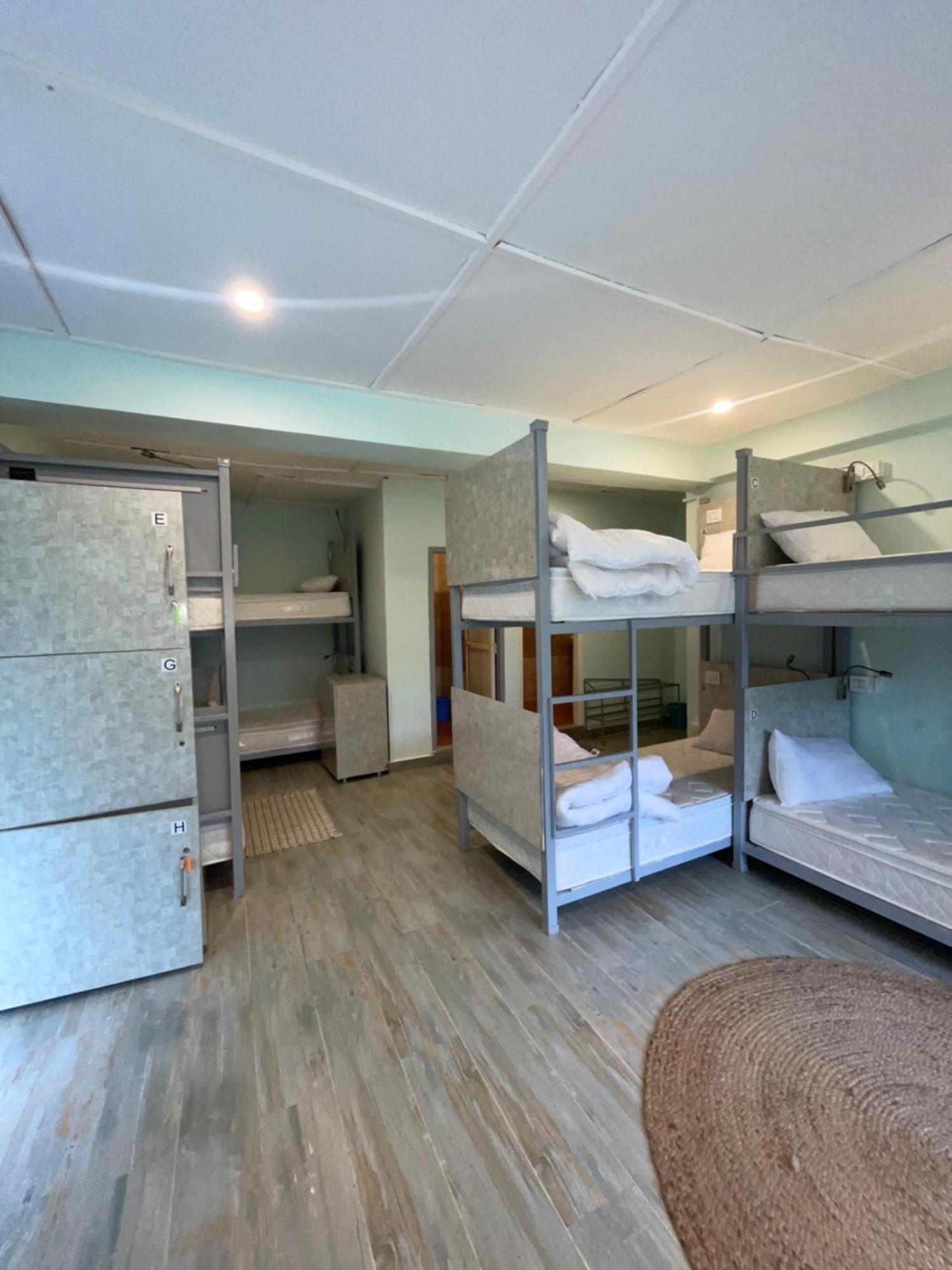 מקלוד גאנג' Eevolve Dharamkot - An Eco Hostel מראה חיצוני תמונה