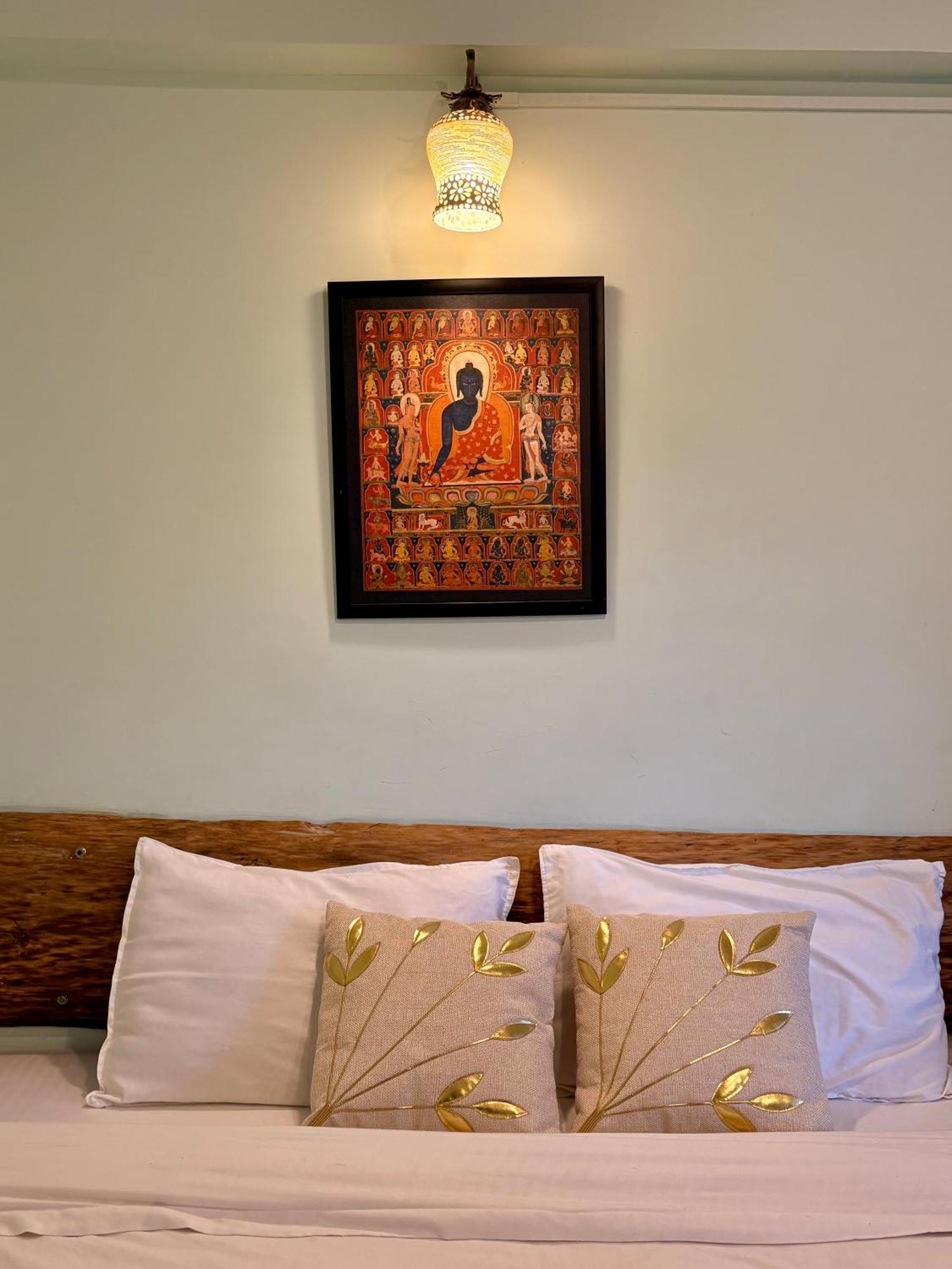 מקלוד גאנג' Eevolve Dharamkot - An Eco Hostel מראה חיצוני תמונה