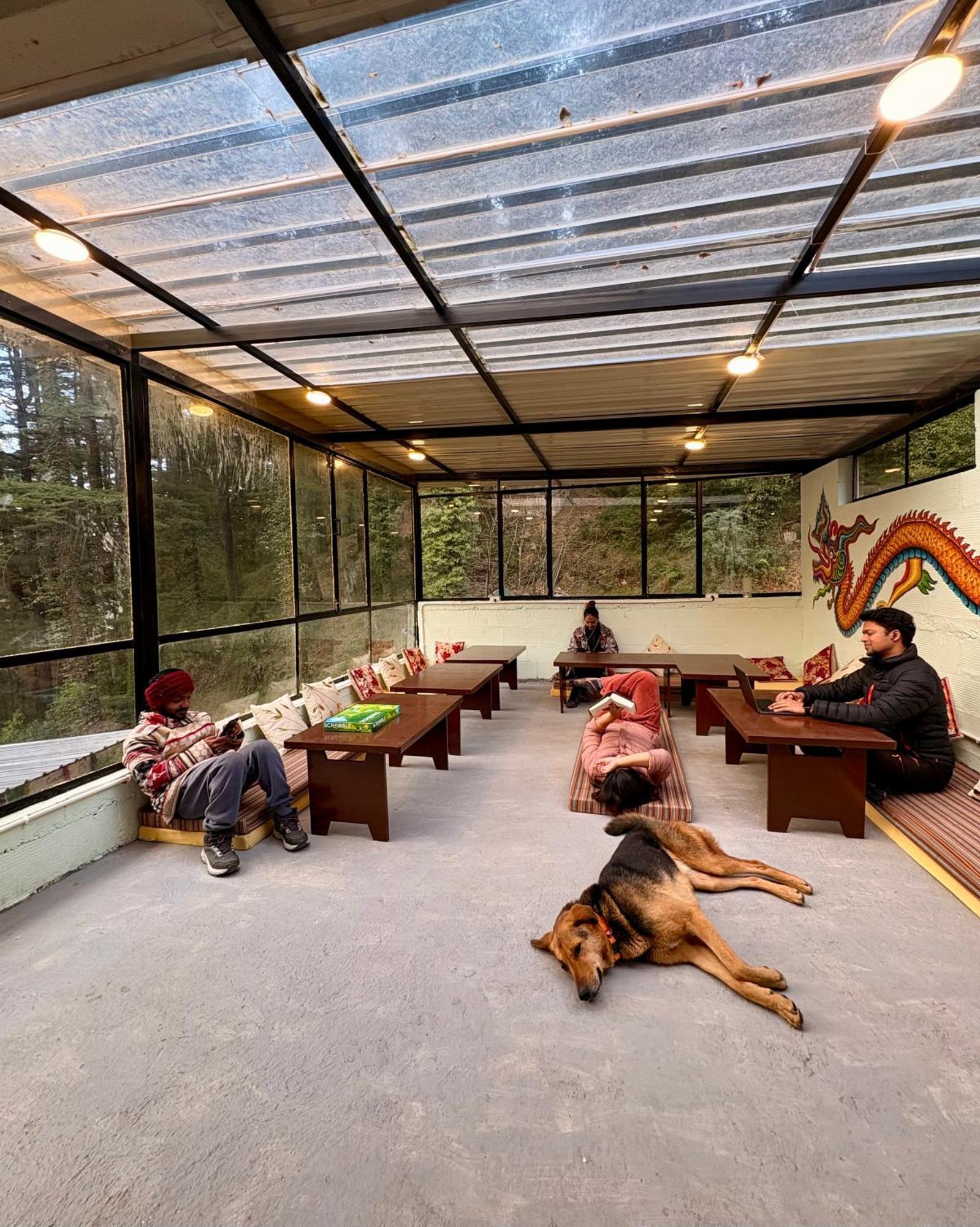 מקלוד גאנג' Eevolve Dharamkot - An Eco Hostel מראה חיצוני תמונה
